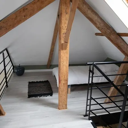 Apartment Studio Avec En Mezzanine